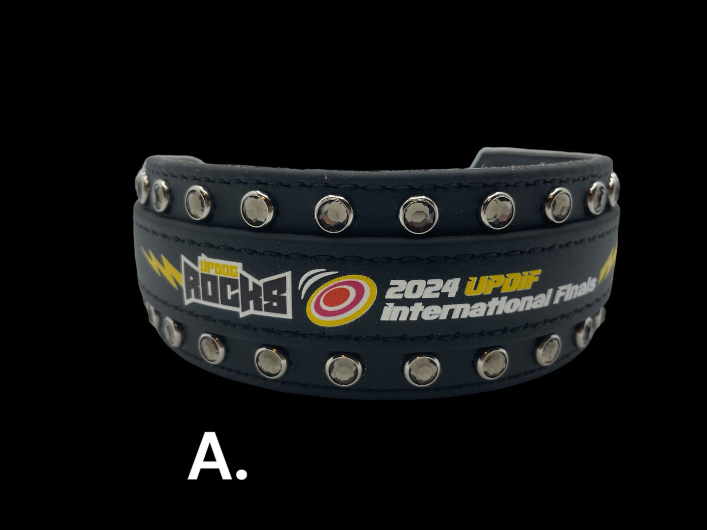 CLEARANCE - MARTINGALE LEASH - UpDif 2024 BioThane Martingale Leash